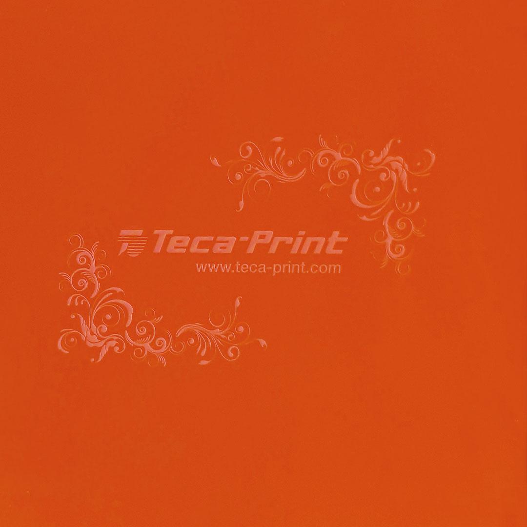 Teca-Print Kunststoffklischee Long-Life alkoholauswaschbar